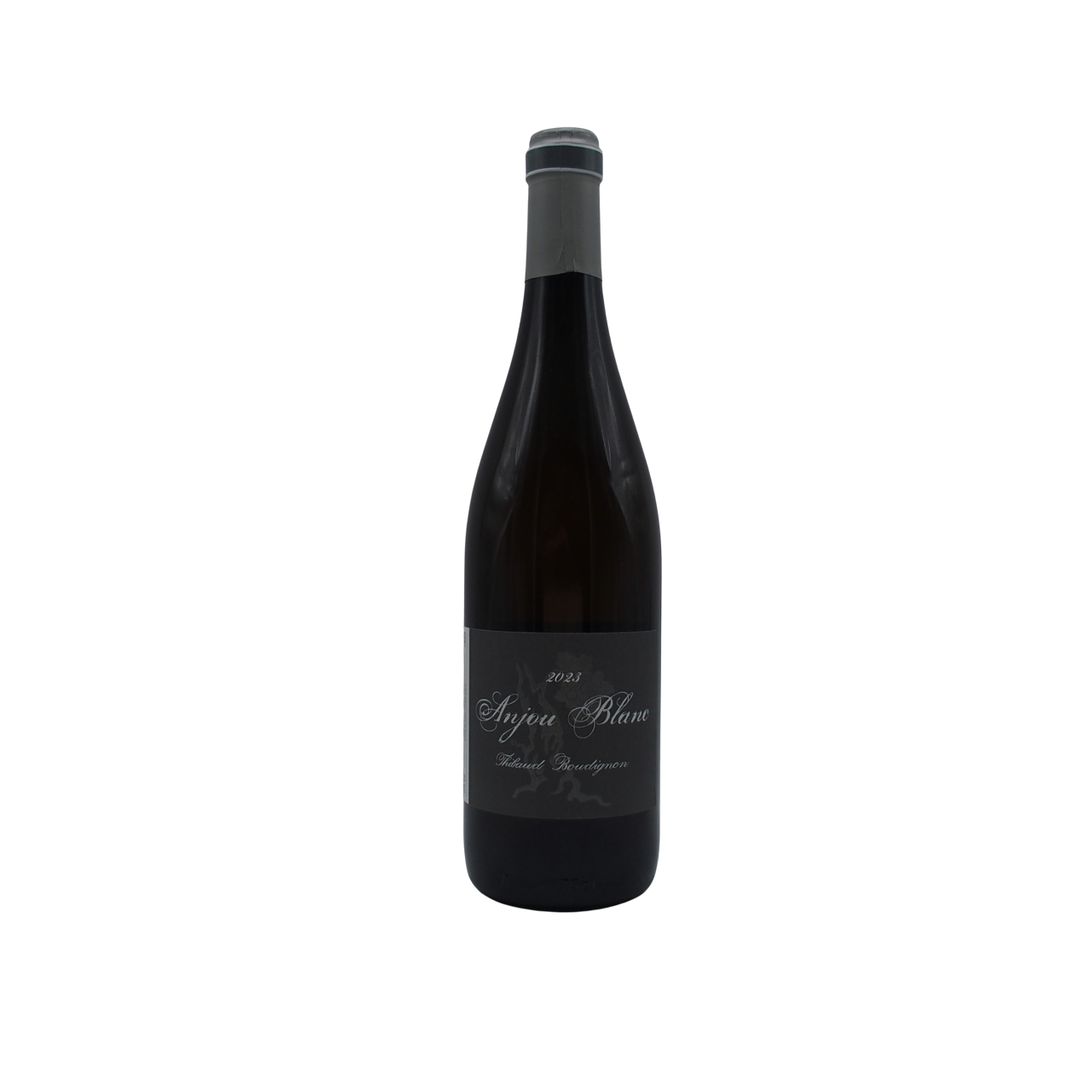 Anjou Blanc 2023 Thibaud Boudignon
