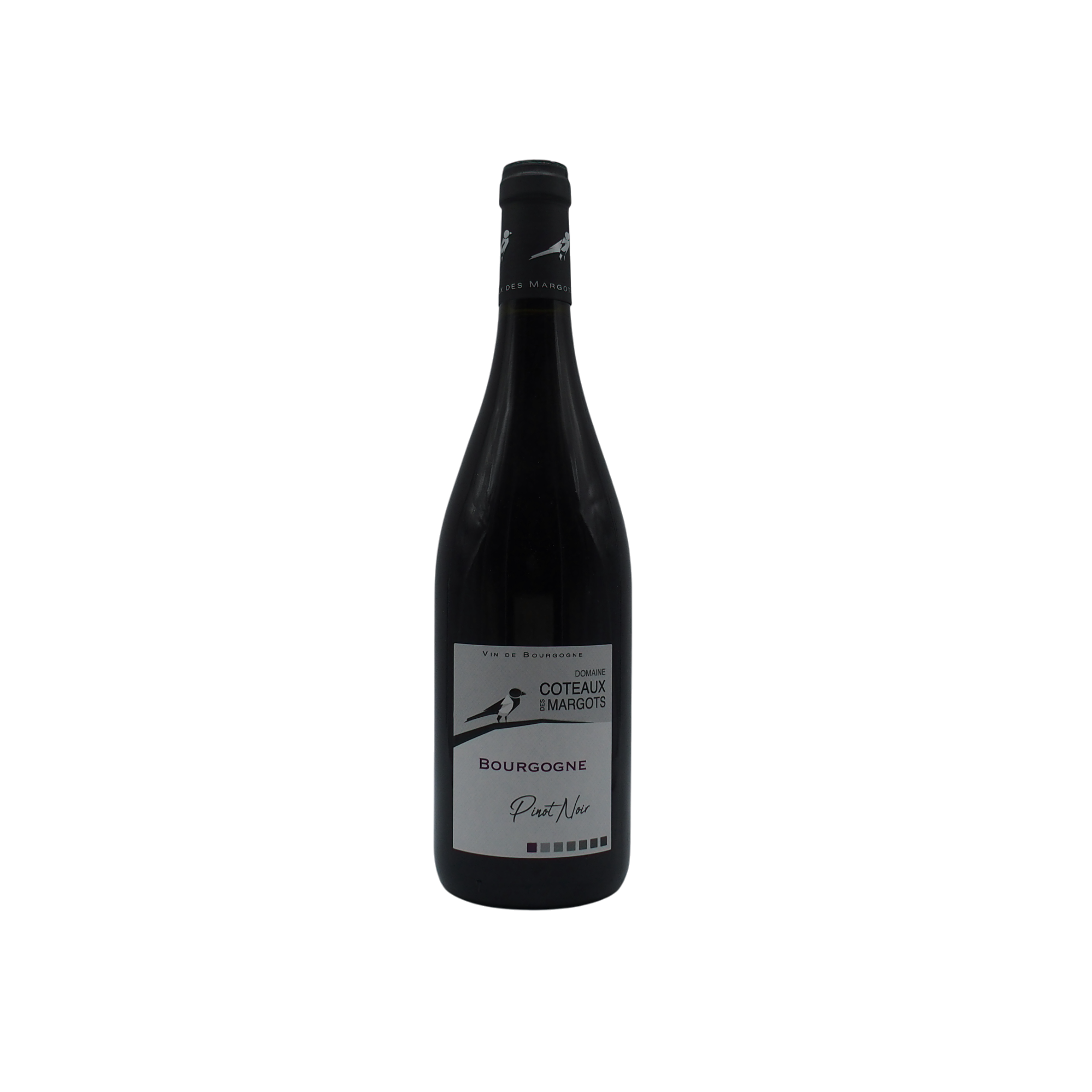 Bourgogne Pinot Noir 2023 Domaine Coteaux des Margots