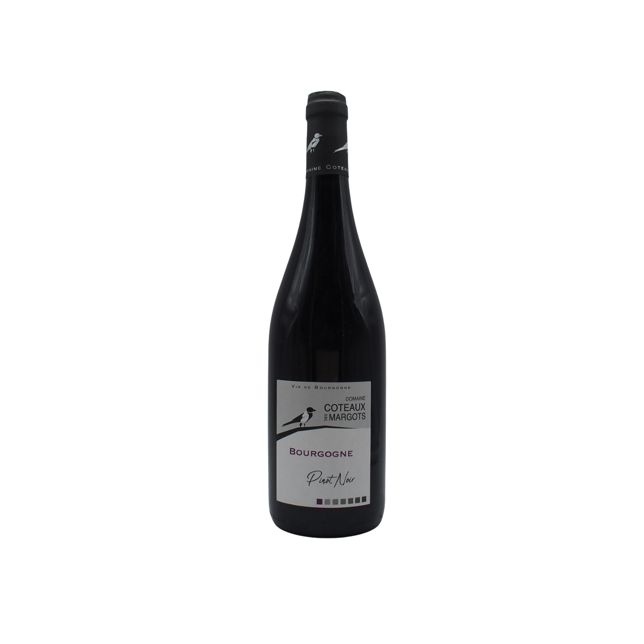 Bourgogne Pinot Noir 2024 Domaine Coteaux des Margots
