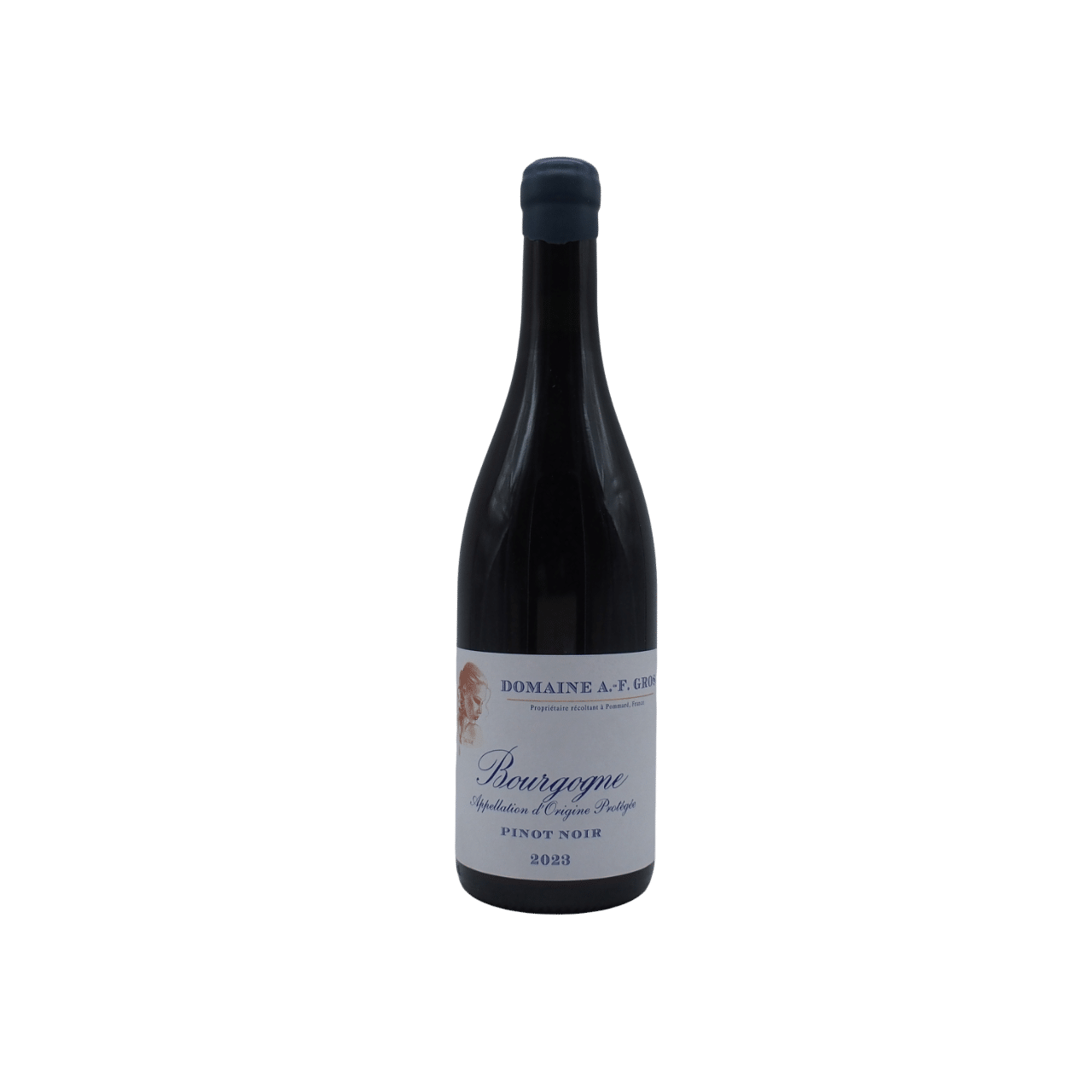 Bourgogne Pinot Noir 2023 Anne-Françoise Gros