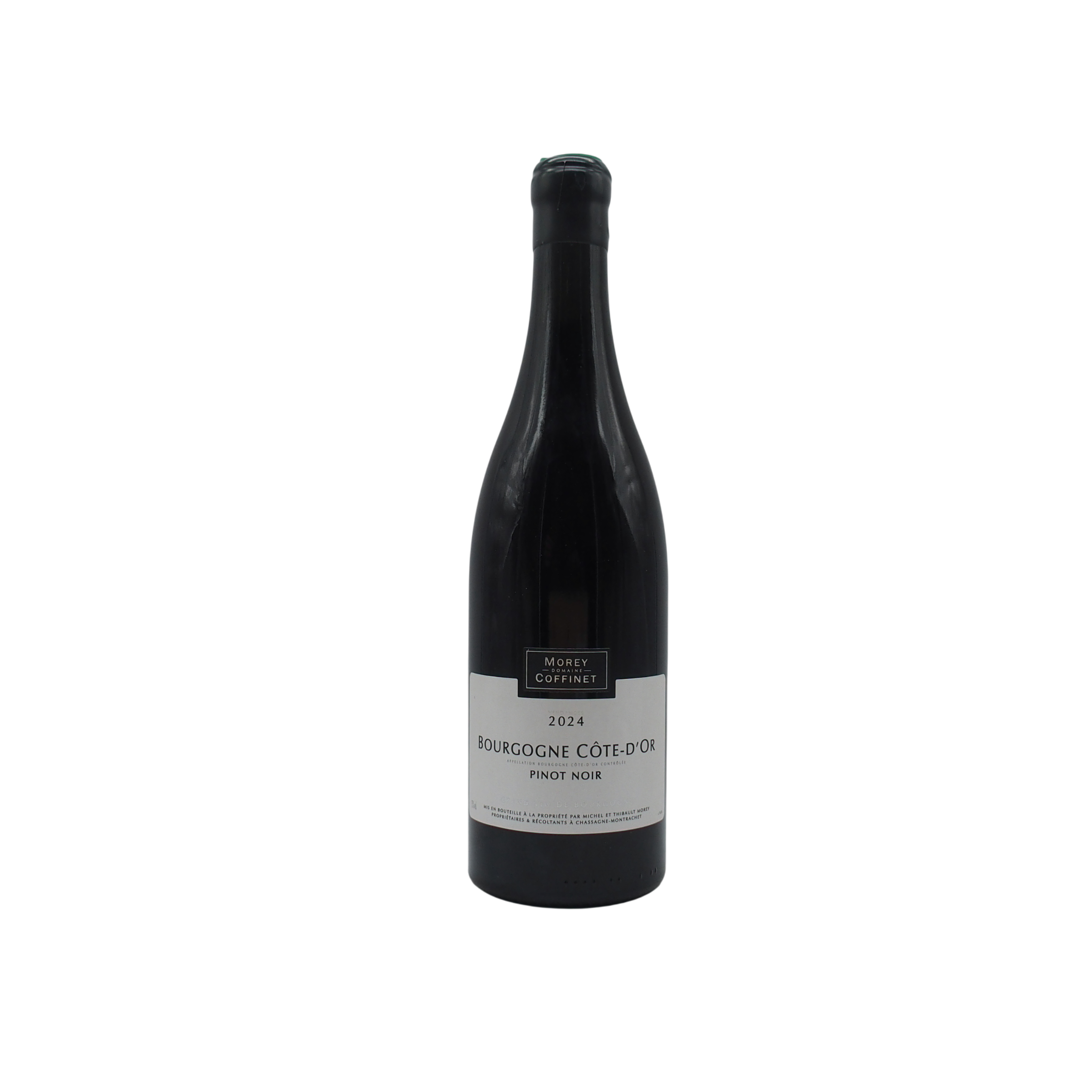 Bourgogne Côte d'Or Pinot Noir 2024 - Morey-Coffinet