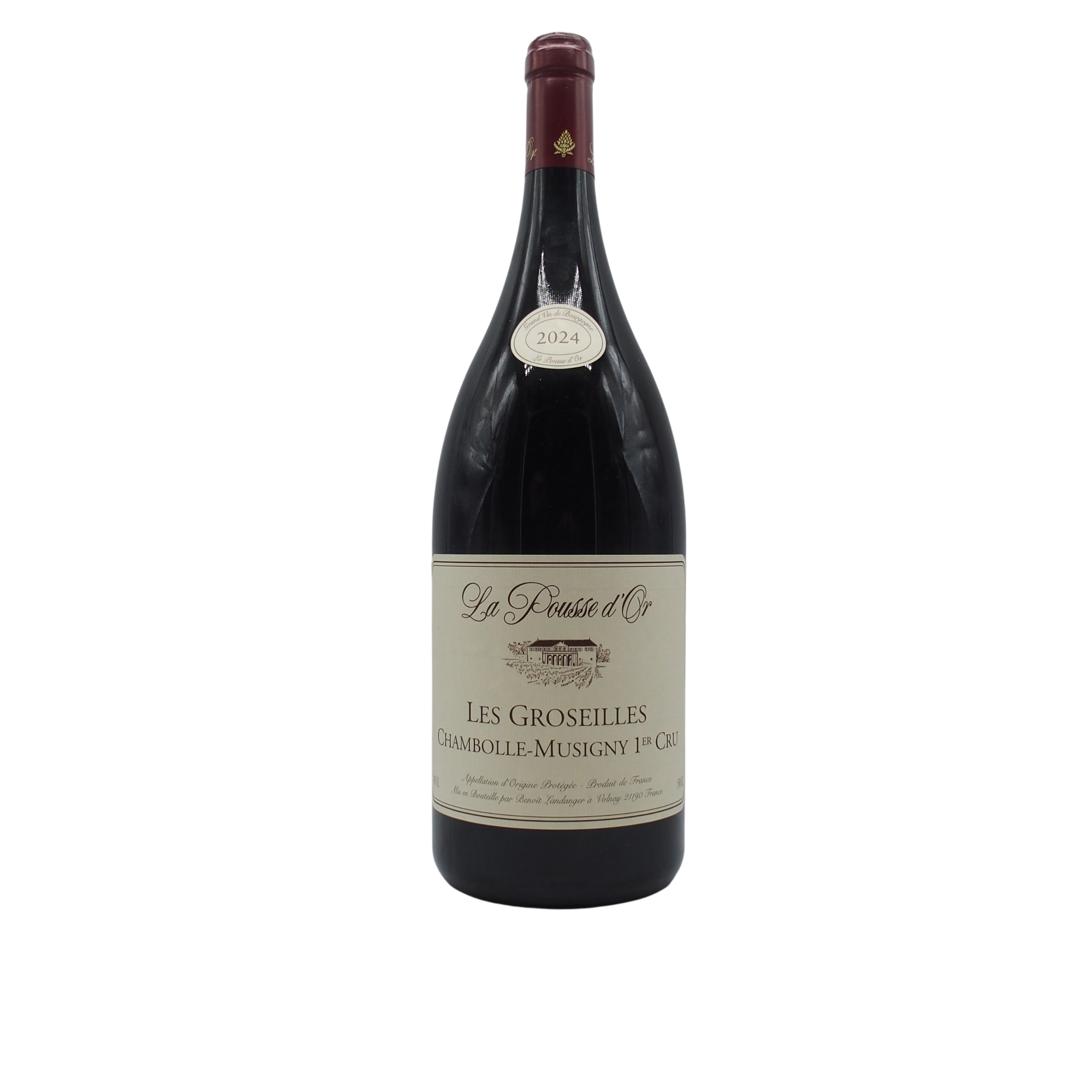 Magnum Chambolle-Musigny 1er Cru « Les Groseilles » 2024 Domaine de la Pousse d'Or