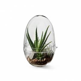 Plante Grow