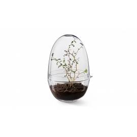 Plante Grow