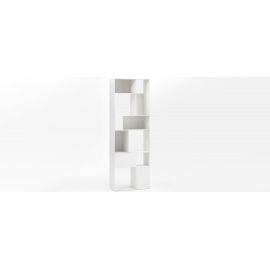 Karl Steel