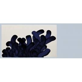Anemone