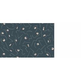 Constellation 2