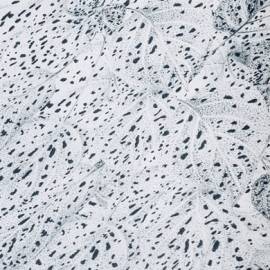 Dots - Papier peint