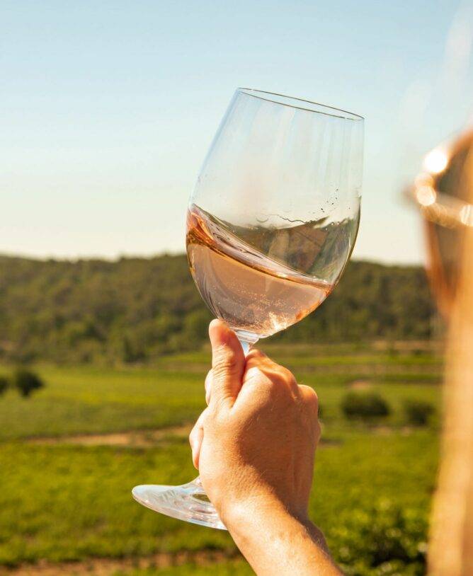 Personne tenant un verre de rosé avec des vignes en arrière plan