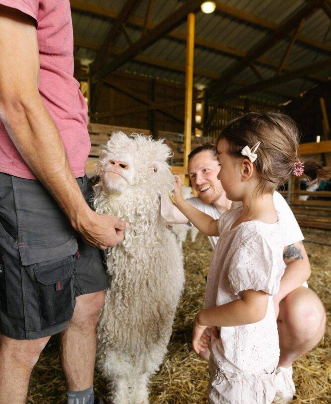 Un bambino accarezza una pecora nella fattoria