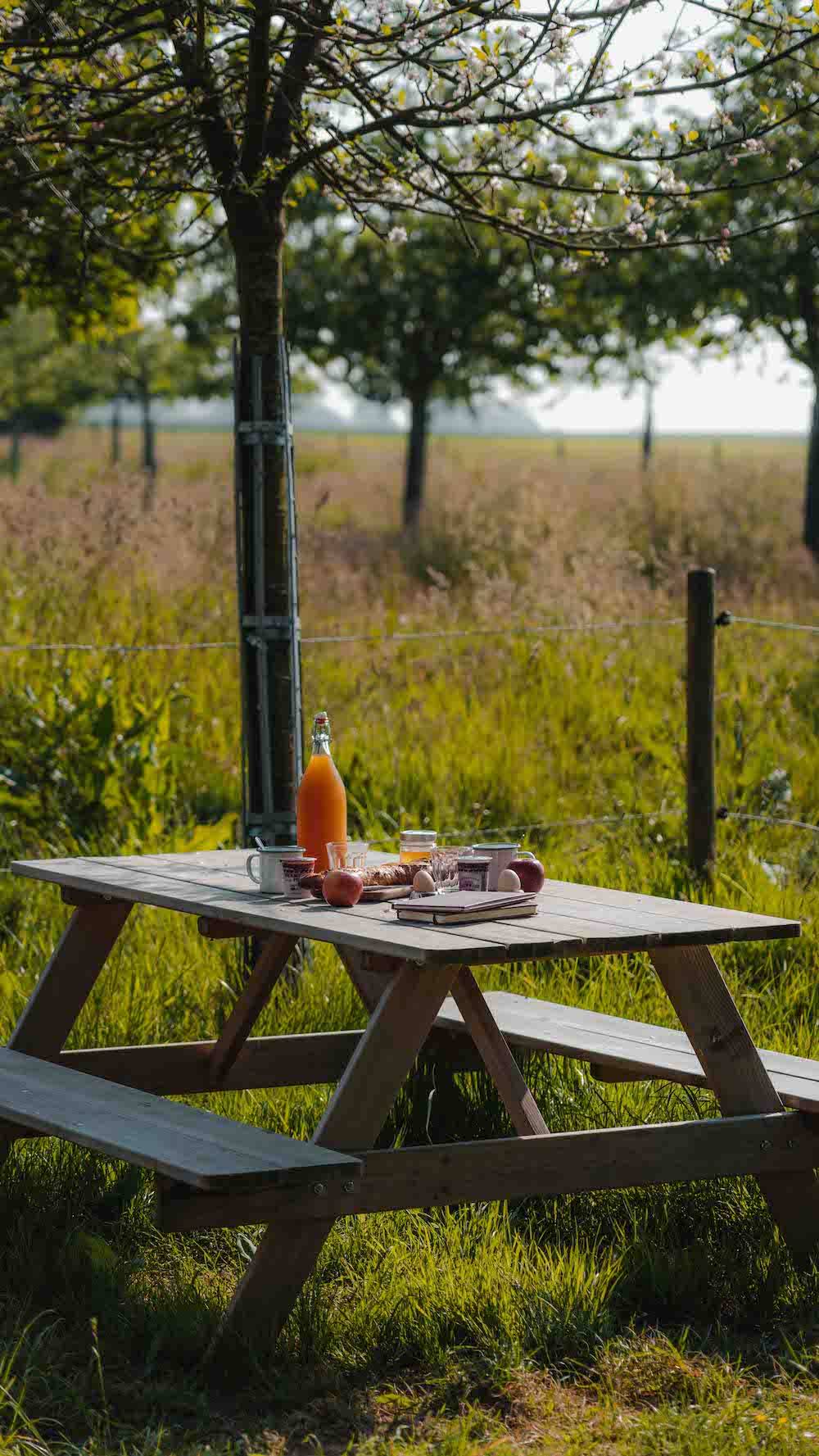 Petit déjeuner posé sur la table en bois du P'tit Clos Normand