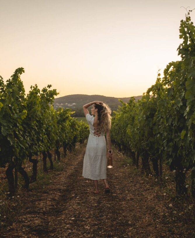 Wandelende vrouw in de wijngaarden