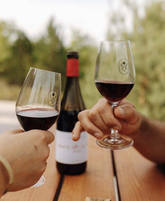Couple qui trinque avec un verre de vin sur la table de pique nique