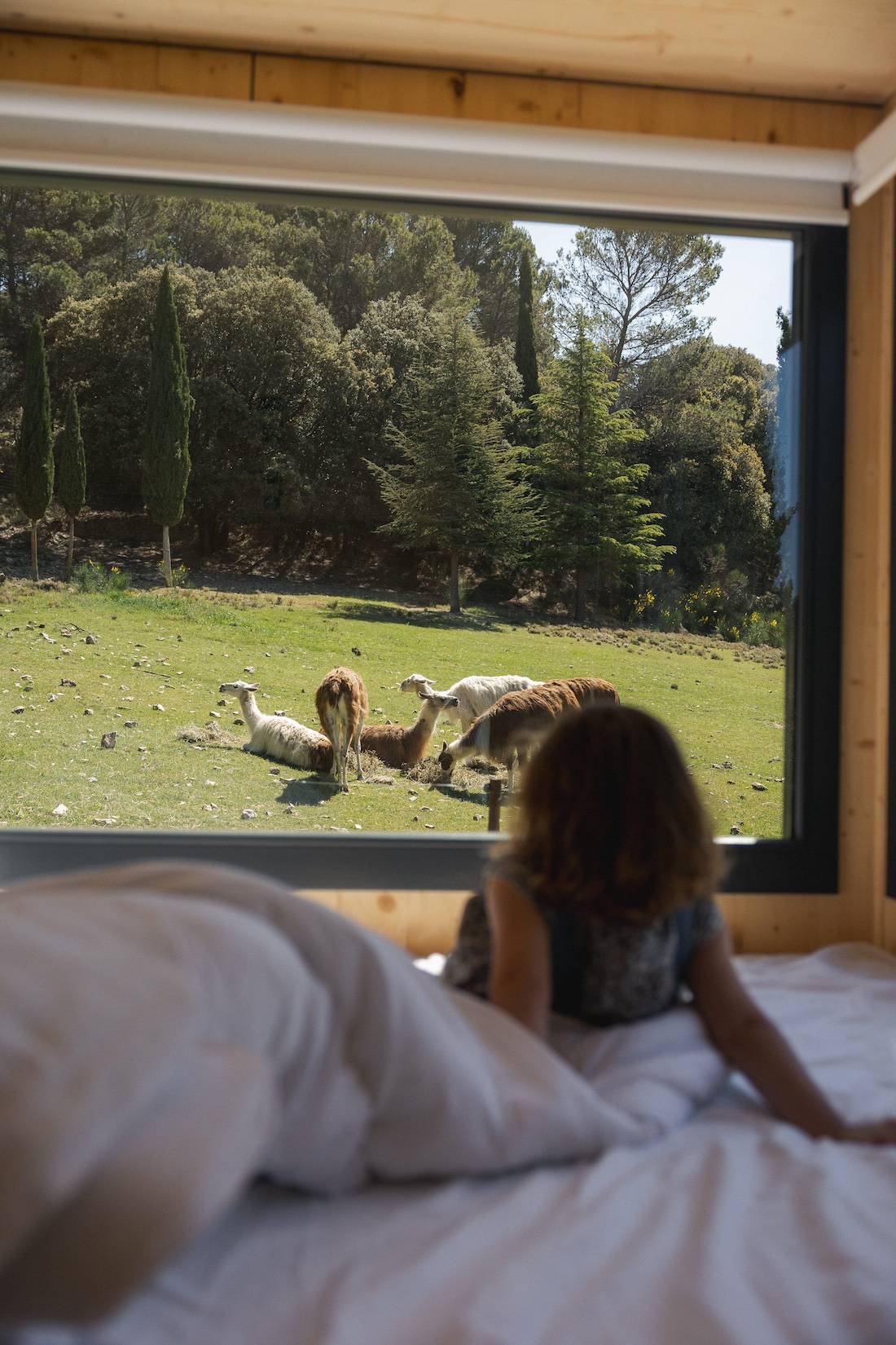 Un niño mira las llamas a través de la ventana de la casita