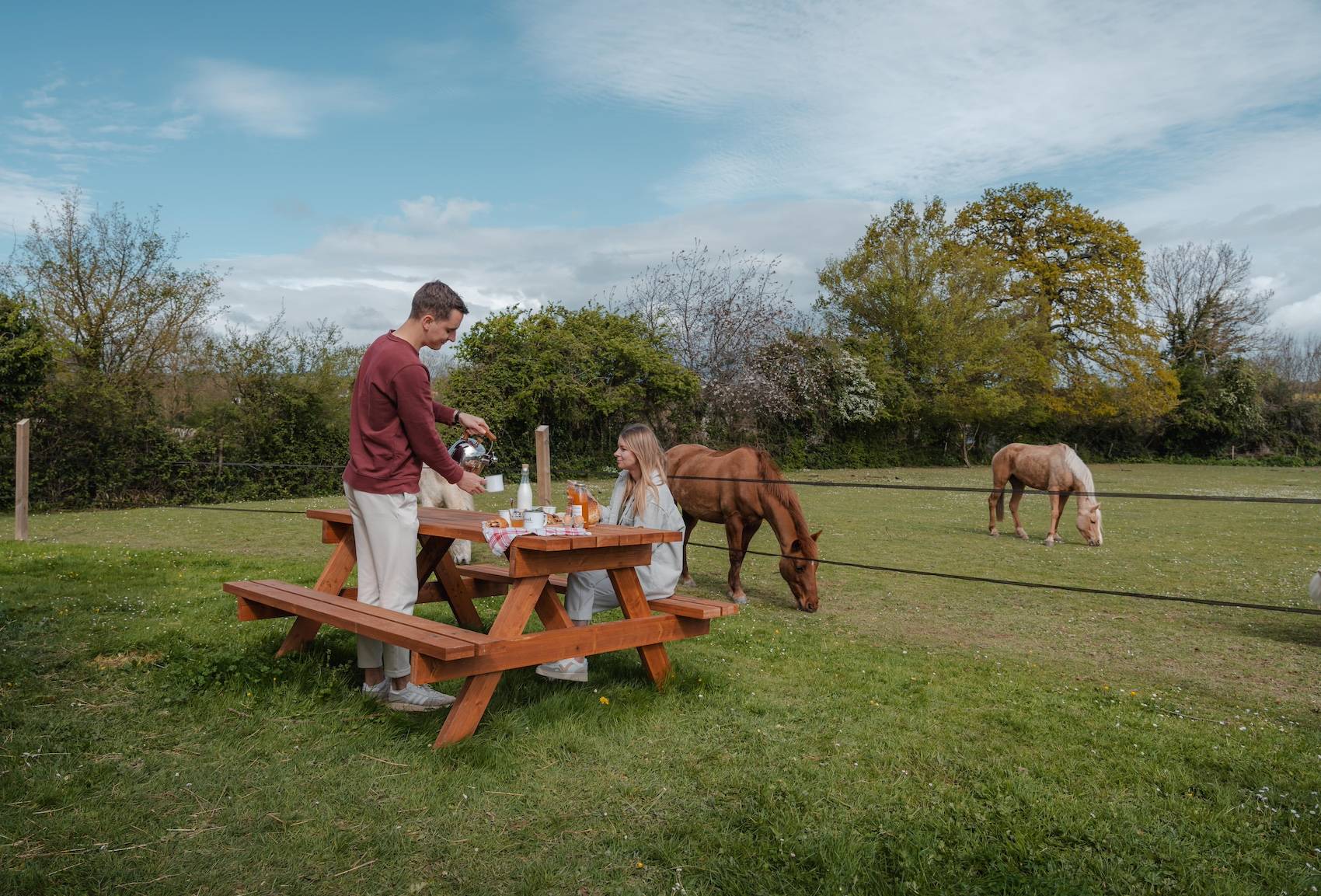 Mesa de picnic rodeada de caballos en Normandía
