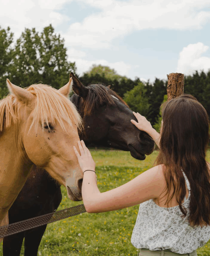 vrouw die paarden aait