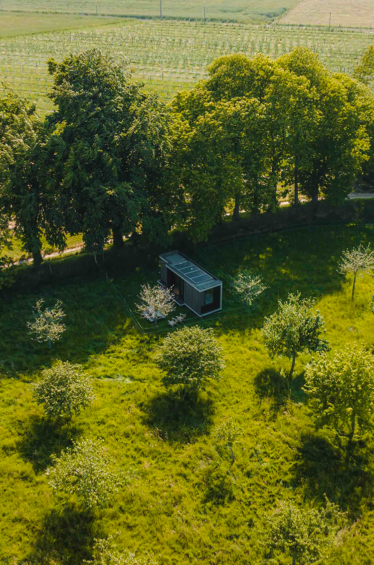 Vue aérienne d’une tiny house nichée au cœur de la nature, entourée d’une pelouse verdoyante, avec une rangée d’arbres en arrière-plan.