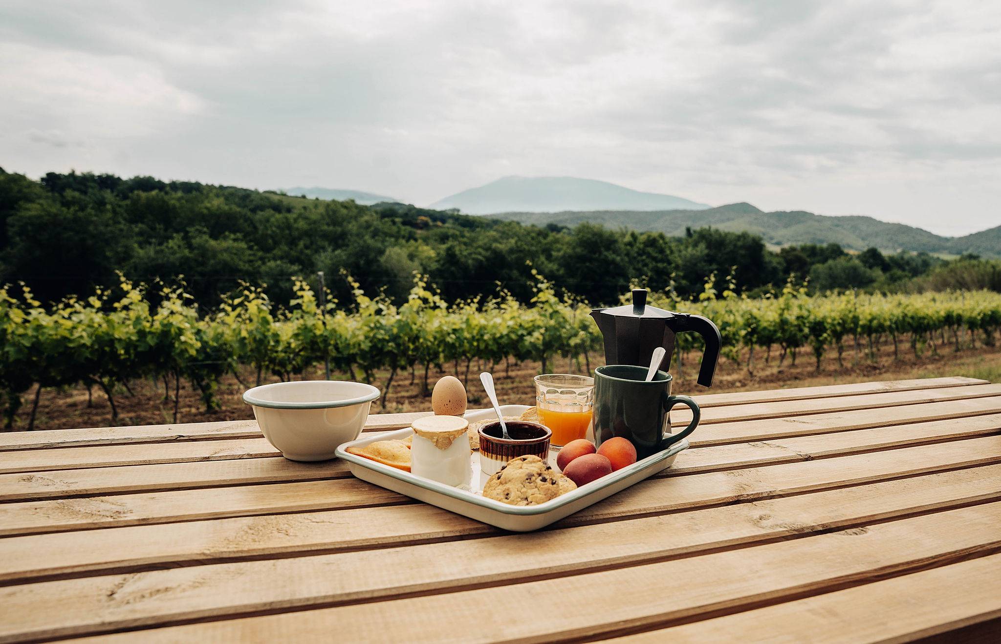un petit déjeuner est posé sur une table en bois face aux vignes puis la montagne derrière. Il y a du thé, du café, des cookies maison, des fruits, du jus, du yaourt et un oeuf