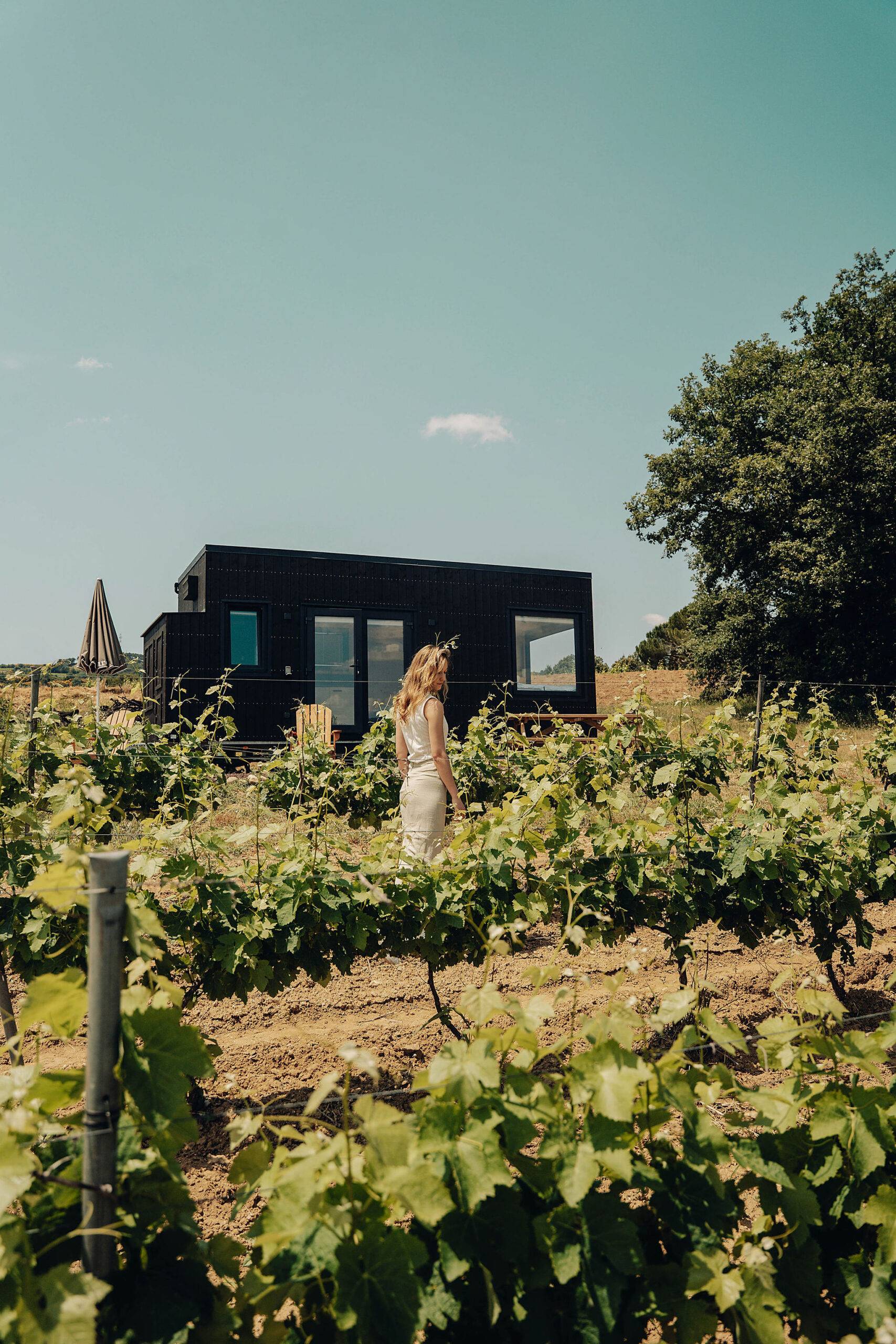 une femme marche dans les vignes devant la Tiny House en pleine journée ensoleillée