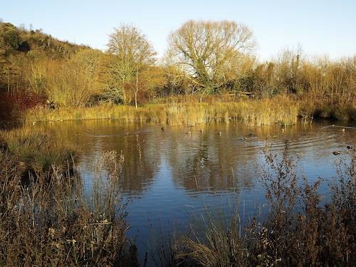 étang bihecourt Parcel