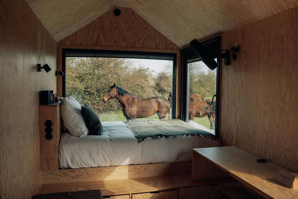 lit avec des chevaux en arrière plan qui sont devant la fenetre