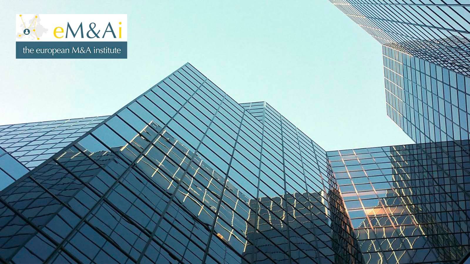M&A Institute