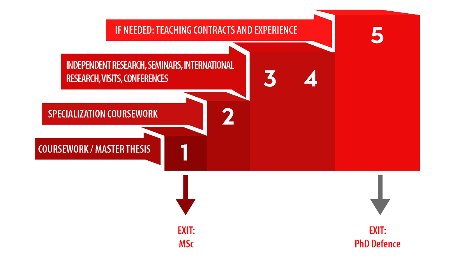 Graphic DP curriculum