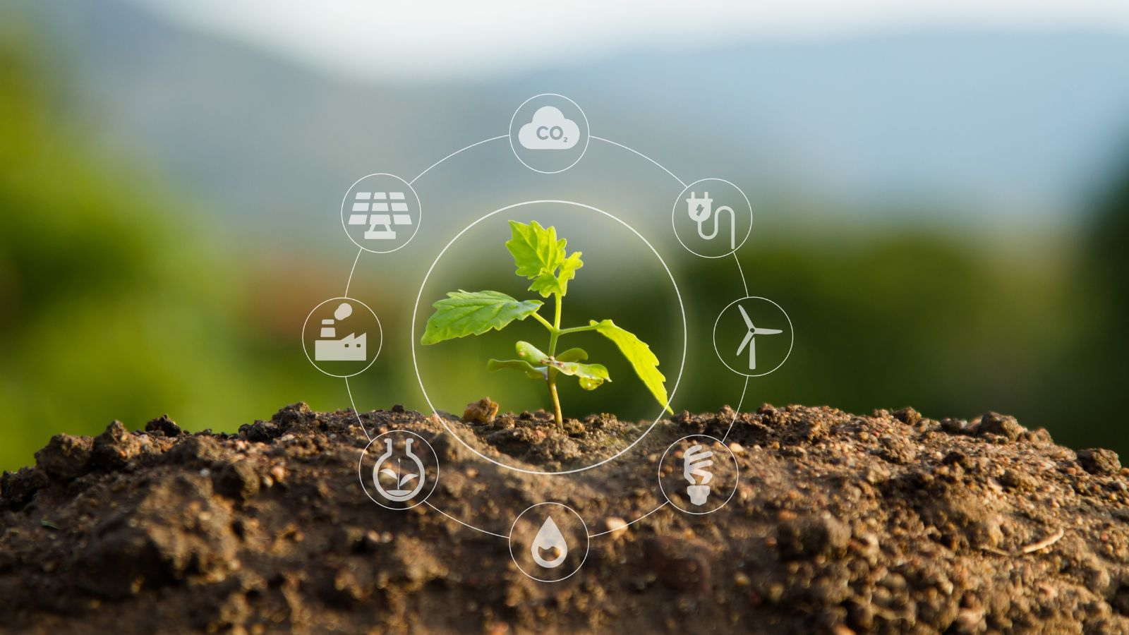 image formation qualité sécurité environnement