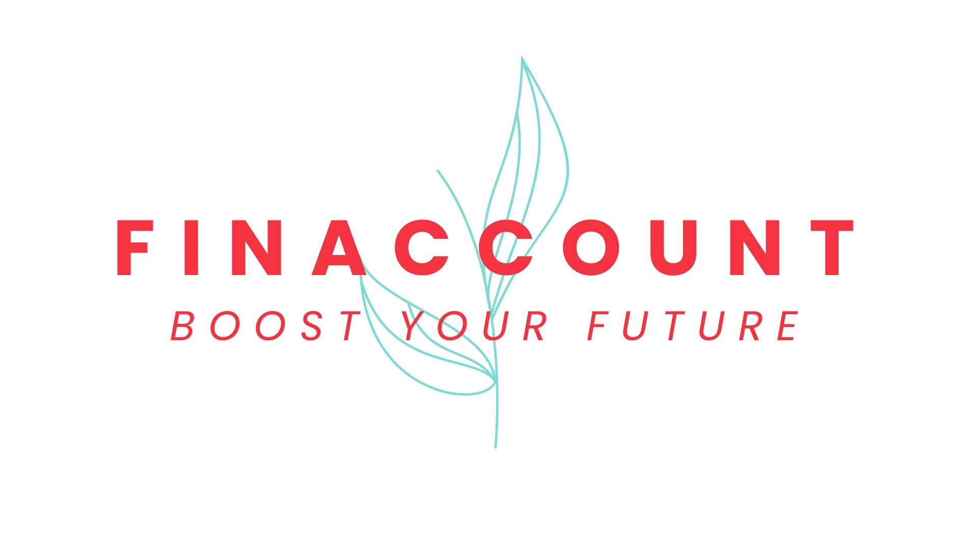logo Finaccount
