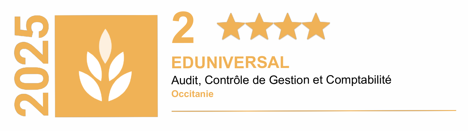 Master 2 audit et pilotage des organisations eduniversal régional 2025