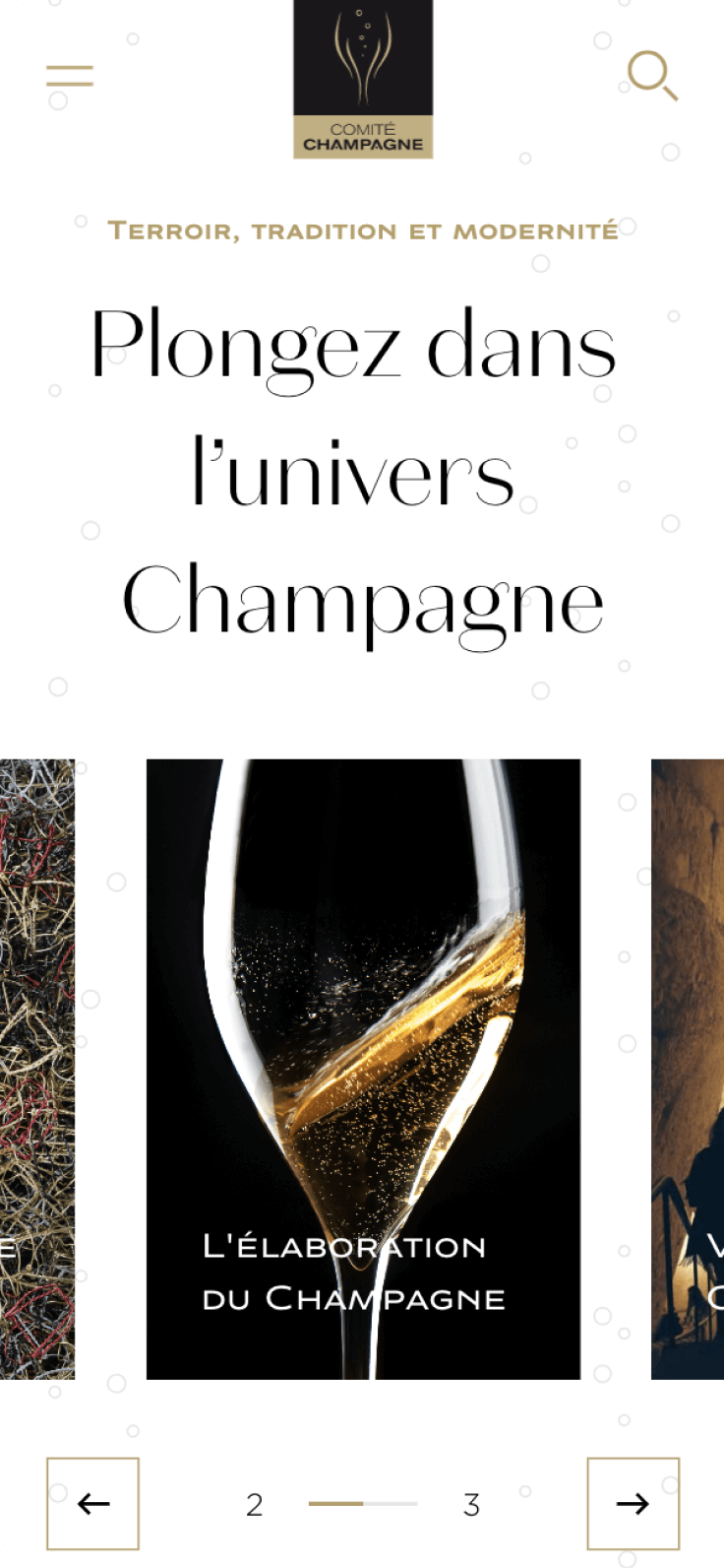 Homepage Champagne sur mobile